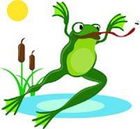 pond-frog